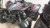 20201029_115612_resized.jpg