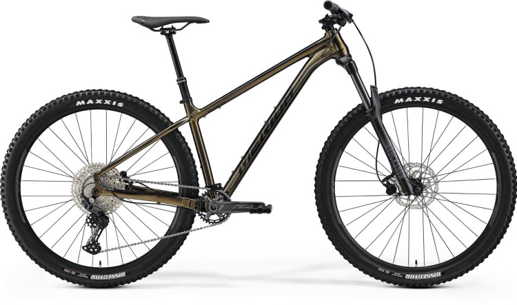 BIG_TRAIL_500_gldblk_MY2022.tif.jpeg