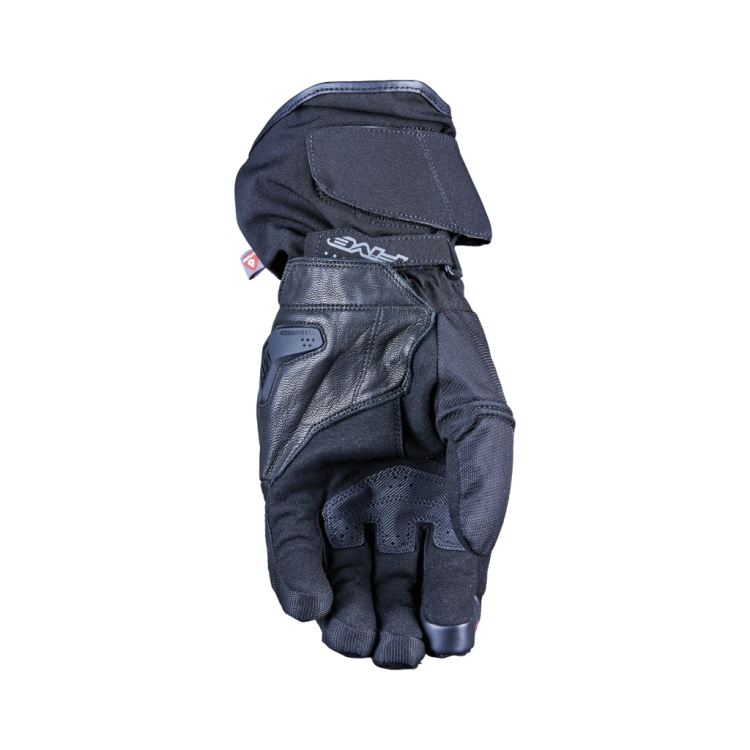 wfx2_evo_black_palm_2022_.png