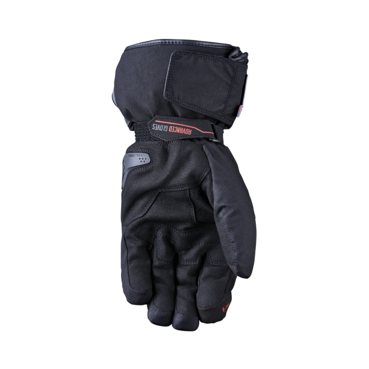 wfx4_black_palm_2023.png