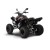 maxxer 300 1.jpg